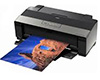 epson r1900