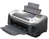 epson r300